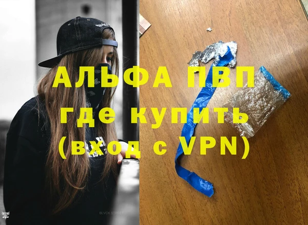 индика Богданович