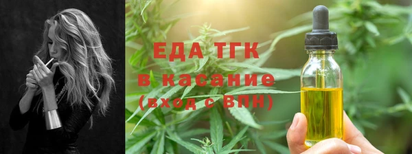 индика Богданович