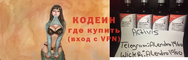 индика Богданович