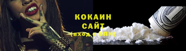 индика Богданович