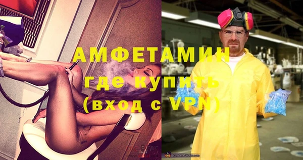 индика Богданович