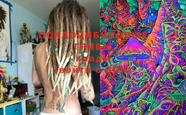 стафф Бронницы