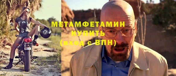 индика Богданович